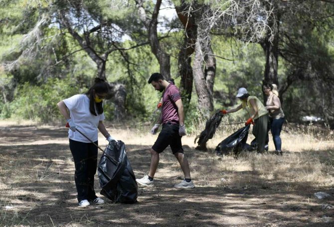Ormandan torbalarca çöp çıktı