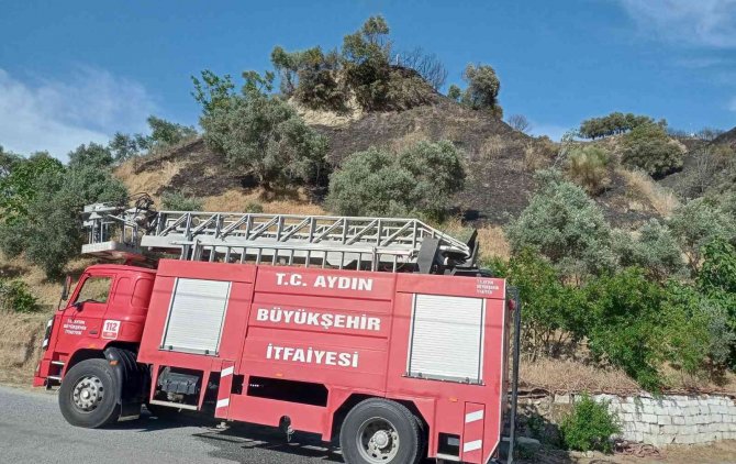 Zeytinlik alandaki yangın büyümeden söndürüldü