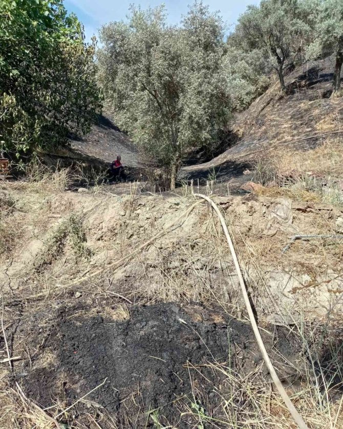 Zeytinlik alandaki yangın büyümeden söndürüldü