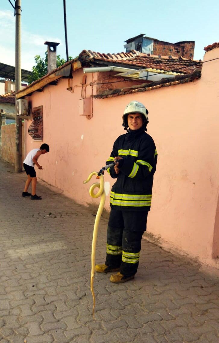 Ayakkabılığa 1,5 metrelik yılan girdi