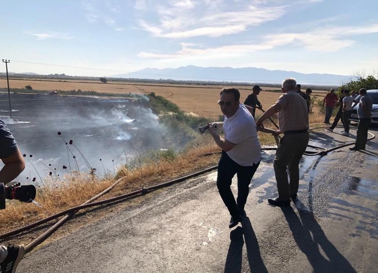 Buğday tarlasında çıkan yangın, zeytinlik alana sıçradı