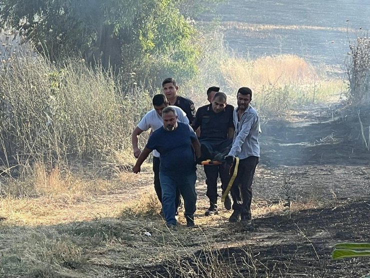 Buğday tarlasında çıkan yangın, zeytinlik alana sıçradı