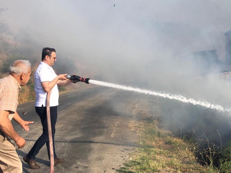 Buğday tarlasında çıkan yangın, zeytinlik alana sıçradı