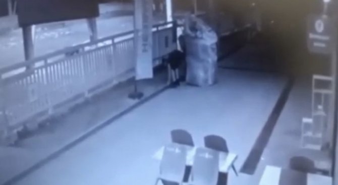 Çekçekli hırsız yoldaki mazgalları çaldı