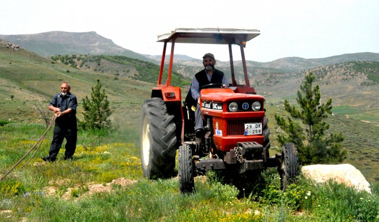 Kardeşler, çocukluk hayalleri orman için 12 bin fidan dikti