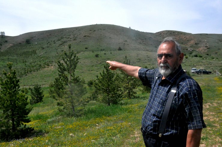 Kardeşler, çocukluk hayalleri orman için 12 bin fidan dikti