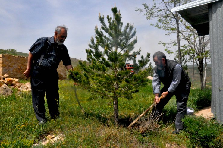 Kardeşler, çocukluk hayalleri orman için 12 bin fidan dikti