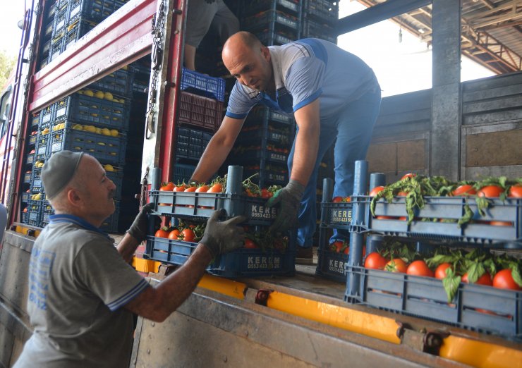 Halde kilosu 4 lira olan domates markette 14 lira