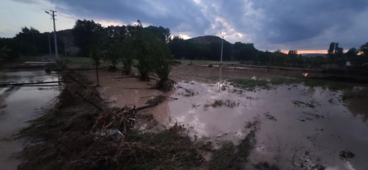 Konya'da sağanak yağış etkili oldu; 25 küçükbaş öldü