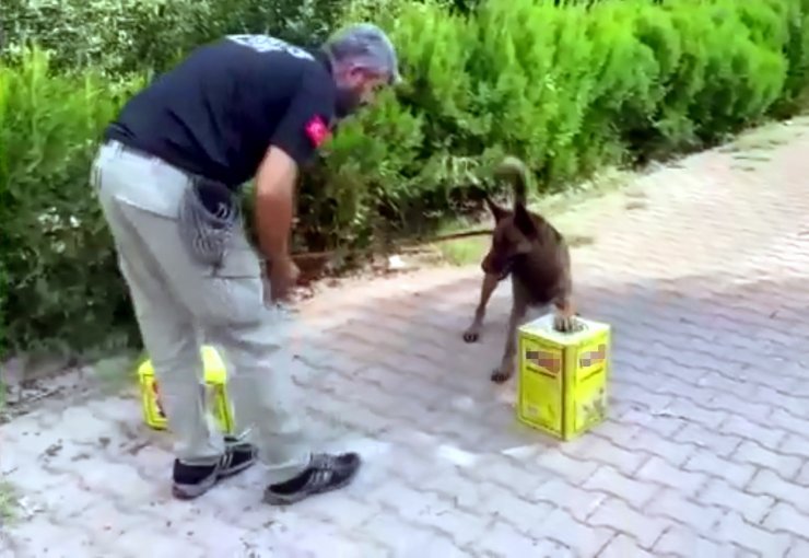 Margarin tenekelerinde esrar çıktı
