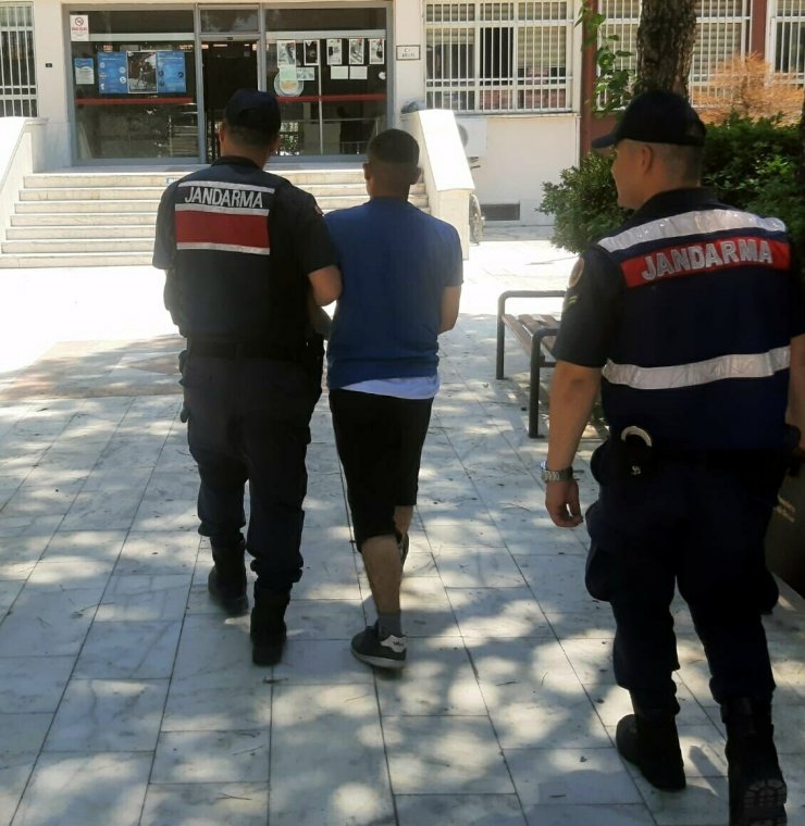 Ormanı yakan madde bağımlısı tutuklandı