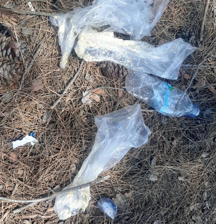 Ormanı yakan madde bağımlısı tutuklandı