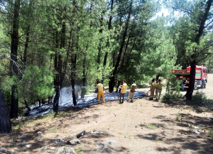 Ormanı yakan madde bağımlısı tutuklandı