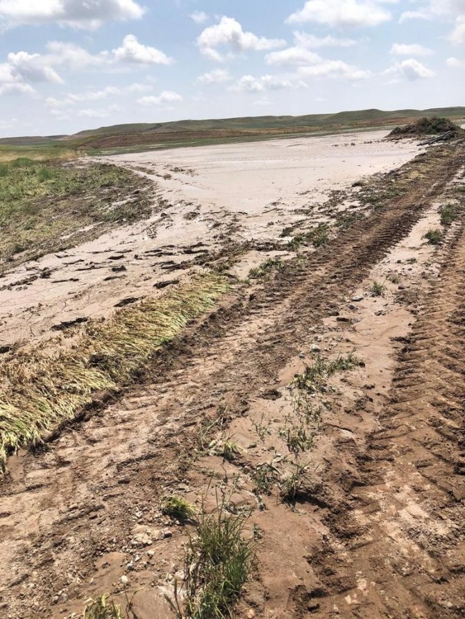 Şiddetli yağışlar ekili alana zarar verdi