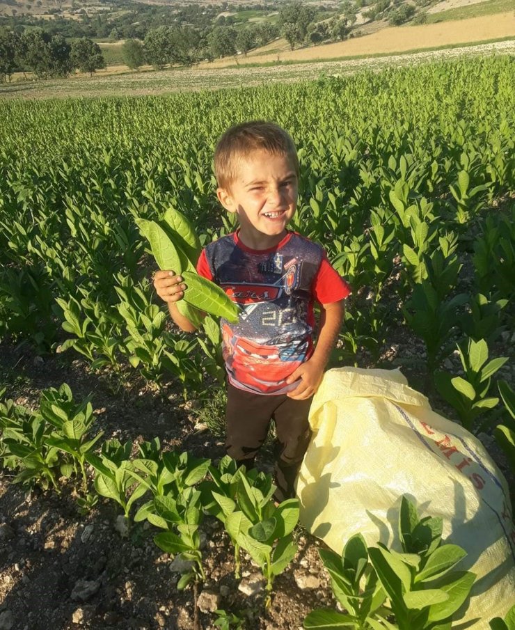Süt taşıyan kamyonetin çarptığı Miraç hayatını kaybetti