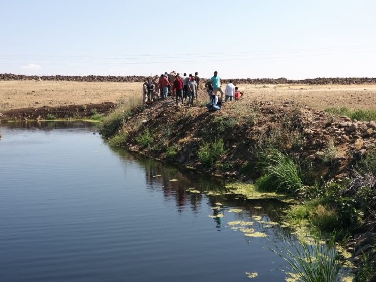 Balık tutmak için girdiği gölette boğuldu