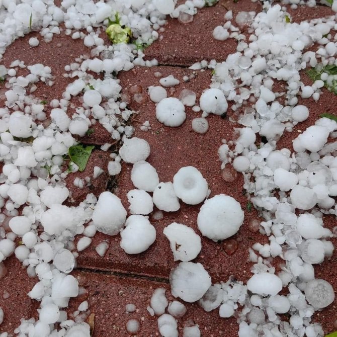 Konya'da ceviz büyüklüğündeki dolu ekili arazilere zarar verdi, ağaçların yapraklarını döktü