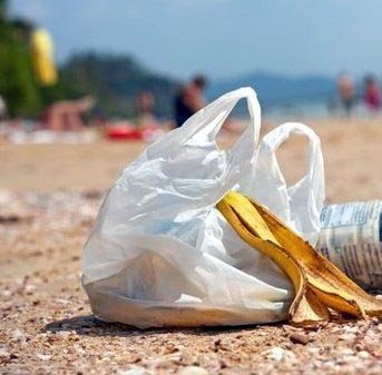 Nesli tükenme tehlikesindeki caretta carettalar için naylon poşet uyarısı