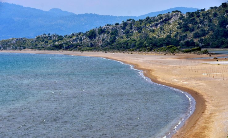 Nesli tükenme tehlikesindeki caretta carettalar için naylon poşet uyarısı