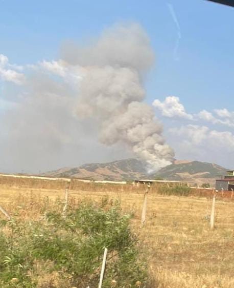 Orman yangını kontrol altında