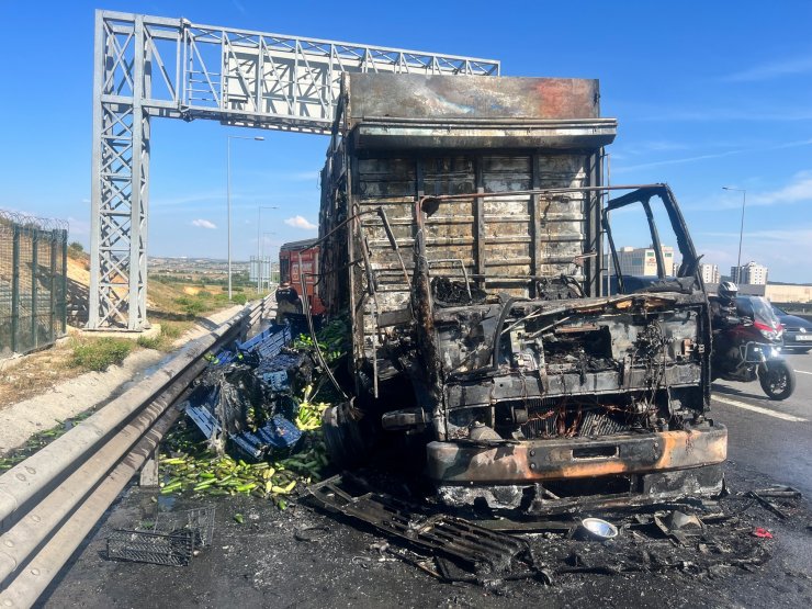 Pendik TEM Otoyolu'nda sebze yüklü kamyon alev alev yandı