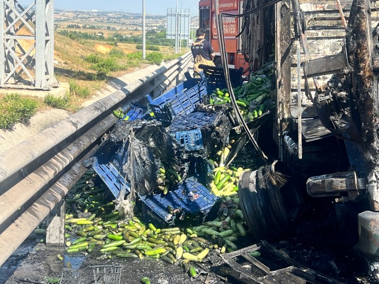 Pendik TEM Otoyolu'nda sebze yüklü kamyon alev alev yandı