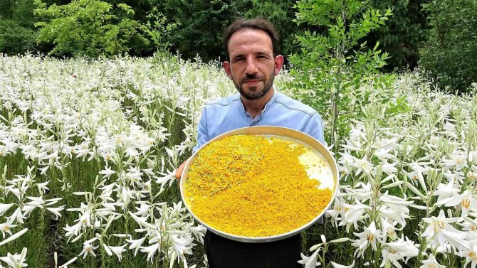 Akzambak hasadı başladı