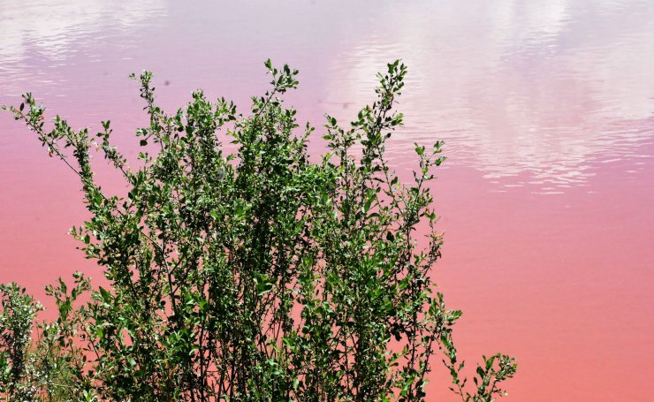 Kızılırmak, adı gibi akmaya başladı