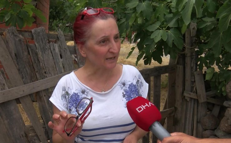 Köpek tartışmasında aynı aileden 3 kişiyi öldürdü; olay anı görüntülendi