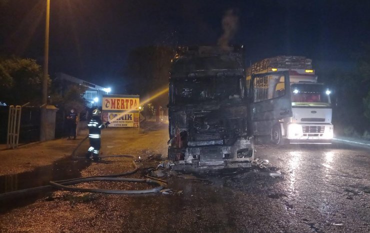 Seyir halindeki TIR alev aldı, sürücü canını son anda kurtardı