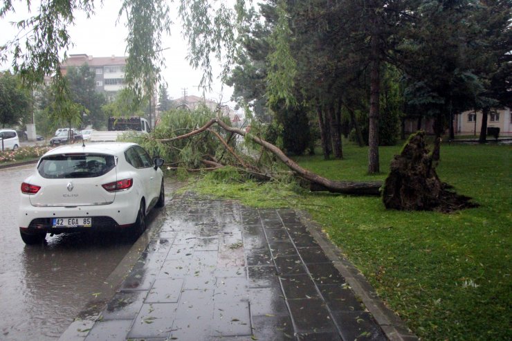 Bolu'da sağanak su baskınlarına yol açtı