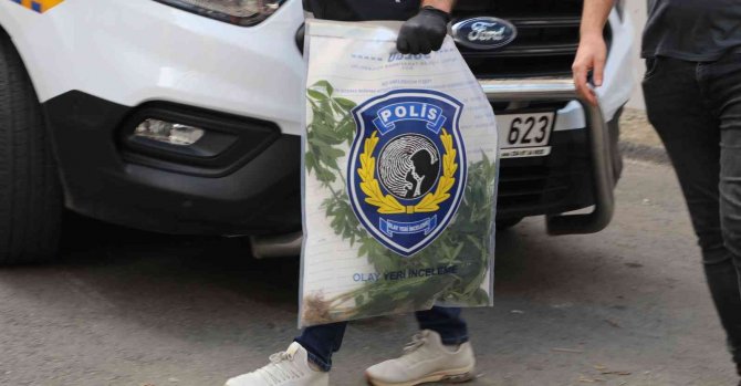 Eşini öldüren adamın evinde yapılan aramada kenevir ele geçirildi