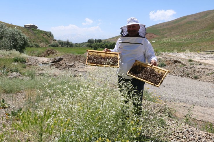 Yüksekova, arıcıların gözde mekanı