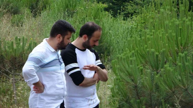 Otomobil takla atıp, şarampole yuvarlandı