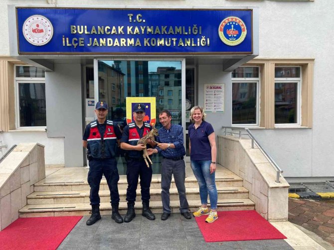 Dolandırıcılıktan 20 yıl kesinleşmiş hapis cezası vardı