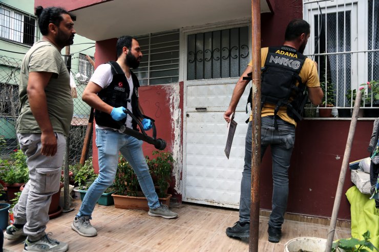 Evin çatısındaki kümesten 35 kök Hint keneviri çıktı