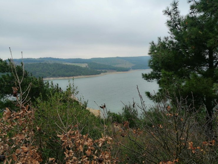 'Kesik kol cinayeti' hükümlüsü veteriner hekim hastanede öldü