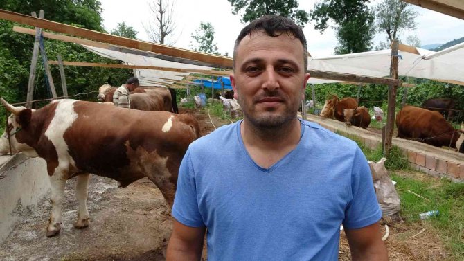 Kurbanlık hayvanlar pazara indi