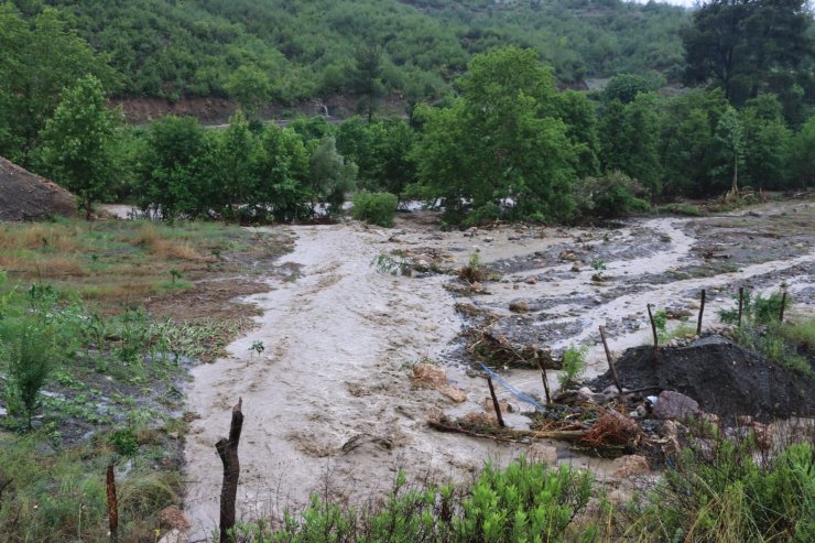 raçlar kullanılamaz hale geldi