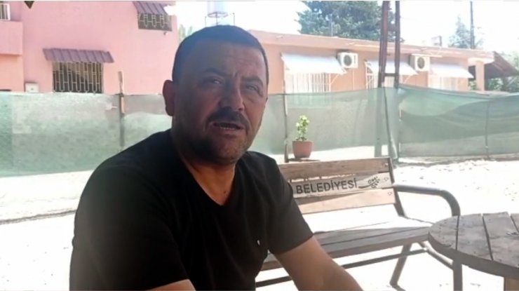 Sokak köpekleri onlarca kümes hayvanını öldürdü