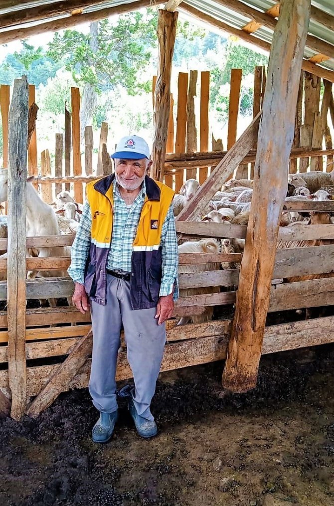 Tek geçim kaynağı hayvancılık olan Mehmet Dede çalınan sürüsüne kavuştu