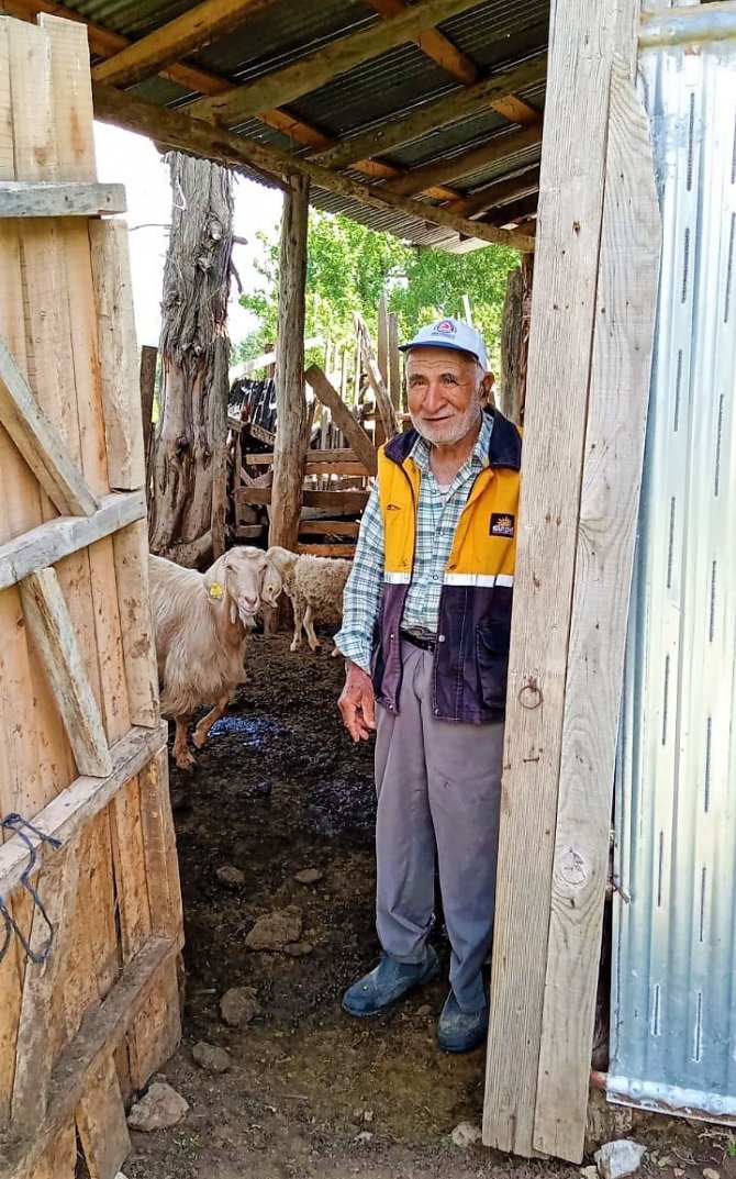 Tek geçim kaynağı hayvancılık olan Mehmet Dede çalınan sürüsüne kavuştu