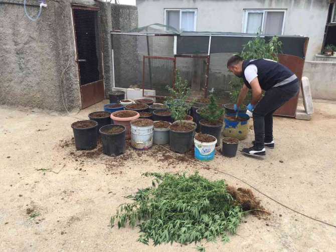 Torbacıların evine koç başlarıyla kapılar kırılıp girildi