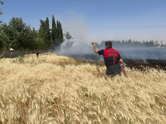 Yüksek gerilim hattı buğday tarlasını kül etti