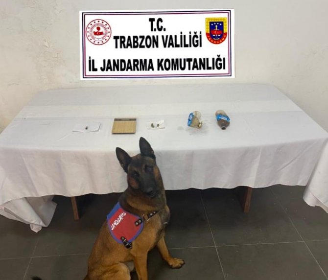 Aracın gösterge panelinde sıvı bonzai çıktı