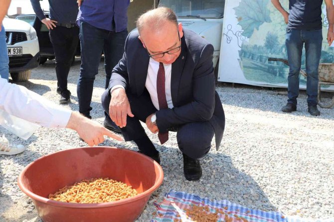 Atık gıdalar mamaya dönüşecek