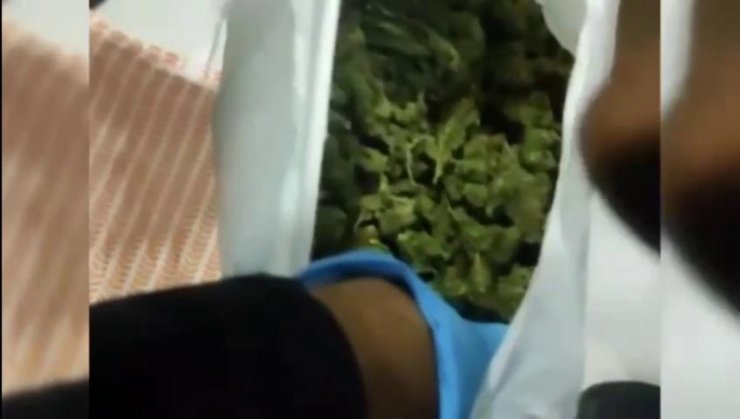 Aydın'da 'uyuşturucu' operasyonu: 11 gözaltı