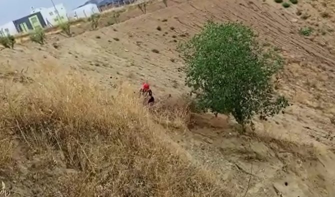 Dağda mahsur kalan köpeğin imdadına itfaiye ekipleri yetişti