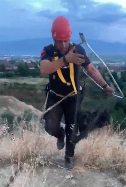Dağda mahsur kalan köpeğin imdadına itfaiye ekipleri yetişti