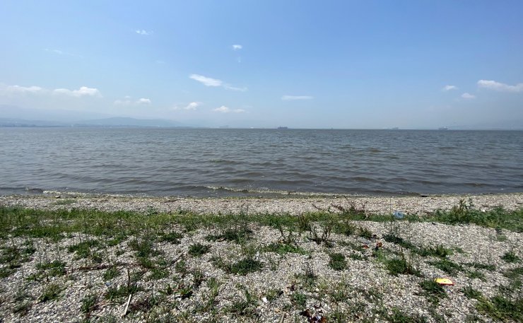 Derelerden akan sularla çamur rengini aldı